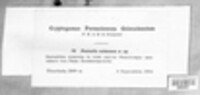 Image Associated With the Occurence